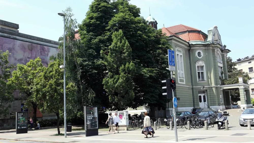 - 19.06.2023 &ndash; kostanj pred SNG drama//FOTO: Tomaž Skale