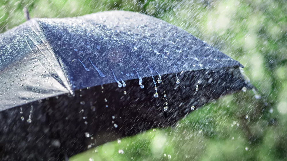 Rain on umbrella background, weather forecast and environmental concept