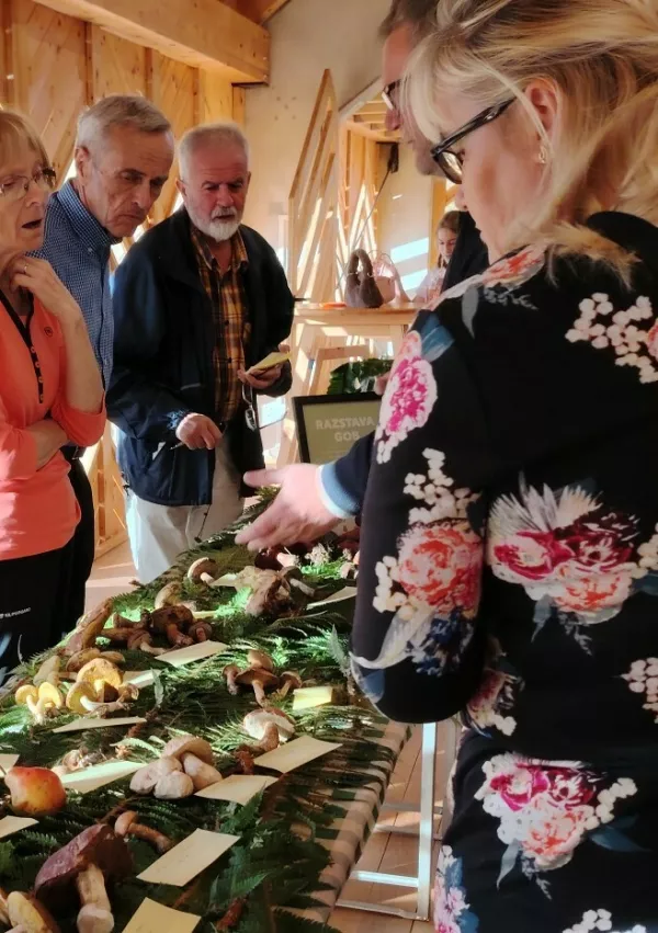 Nekatere je premamila razstava gob. Foto Mojca Marot / Foto: Mojca Marot