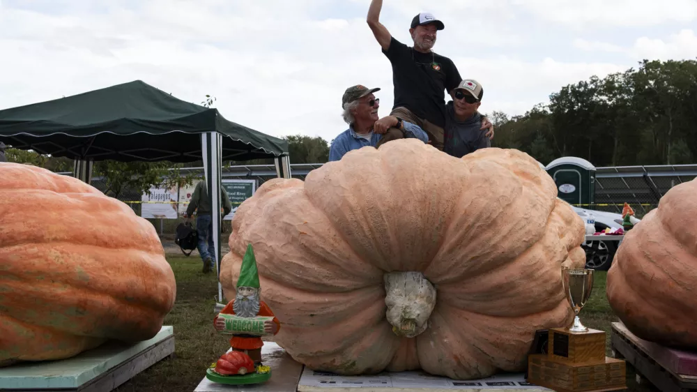 Richmond, RI - October 8: Steve Sperry, center, is lifted in the air by Joe Jutras, left, and Ron Wallace, right, after Sperry's pumpkin set a personal best weight of 2,465.5 lbs at the weigh-off at Pasquale Farm. (Photo by Tanner Pearson/The Boston Globe via Getty Images)
