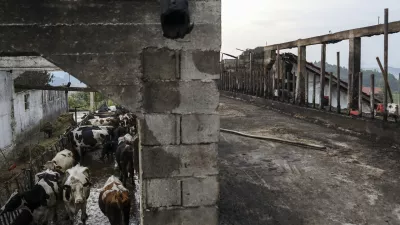 družina Škorjak iz naselja Korpule v občini Šmarje pri Jelšah - - 26.07.2019 - Dobrodelna akcija ISKRICA Nedeljskega dnevnika - pomoč revnim, bolnim in žalostnim otrokom ter njihovim družinam v stiski - Družina s petimi otroki je v požaru ostala brez hleva in s tem glavnega vira preživetja. //FOTO: Jaka Gasar
