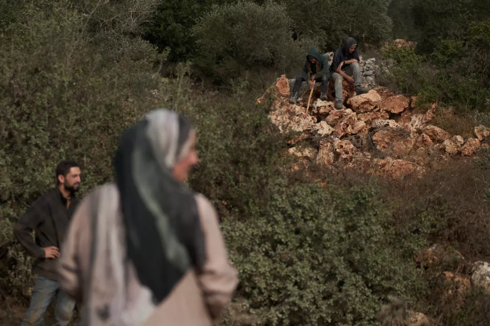 Israeli settlers sit in an olive grove as members of Israeli forces block a road preventing Palestinians from harvesting olives in the West Bank town of Turmus Ayya, Wednesday, Oct. 21, 2026. (AP Photo/Leo Correa)