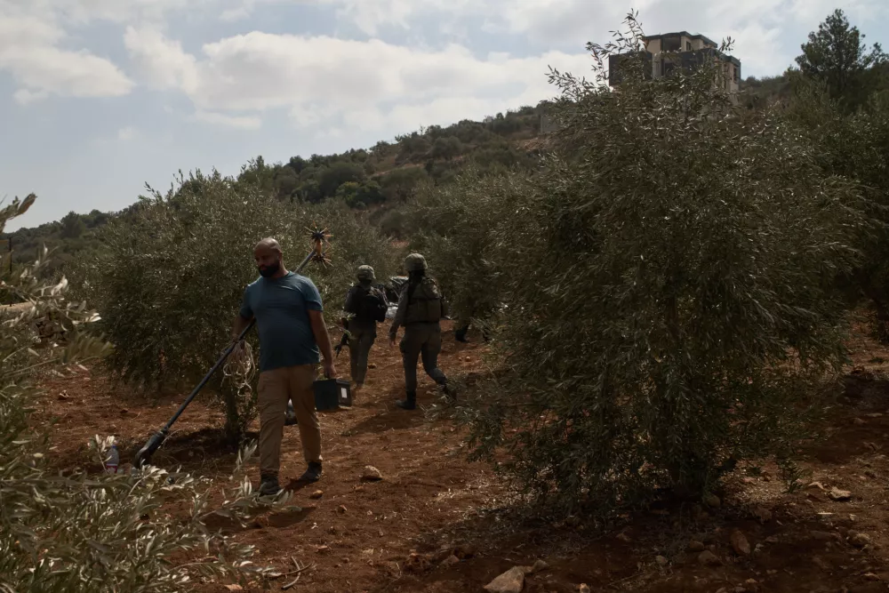 A Palestinian man moves away from an olive grove after members of Israeli forces prevented residents from continuing the olive harvest in the West Bank town of Turmus Ayya, Wednesday, Oct. 21, 2026. (AP Photo/Leo Correa)