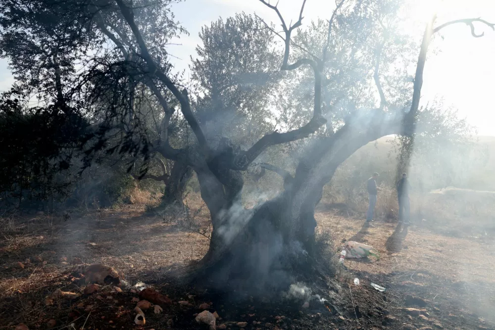 FILE PHOTO: Palestinians stand near a burnt olive tree after Israeli militant settlers attacked a group of Palestinians while they were harvesting olives near Turmus Ayya in the Israeli-occupied West Bank, October 16, 2026. REUTERS/Ammar Awad/File Photo