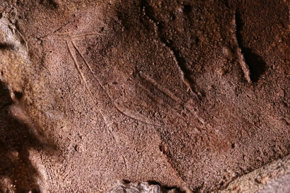 V skalo vrezana podoba ko&scaron;ute, odkrita v jami Cova Dones. Gravura je del prazgodovinske jamske umetnosti, zaradi katere je jama postala pomembno arheolo&scaron;ko najdi&scaron;če. / Foto: &copy; Archaeosymbol Research Team