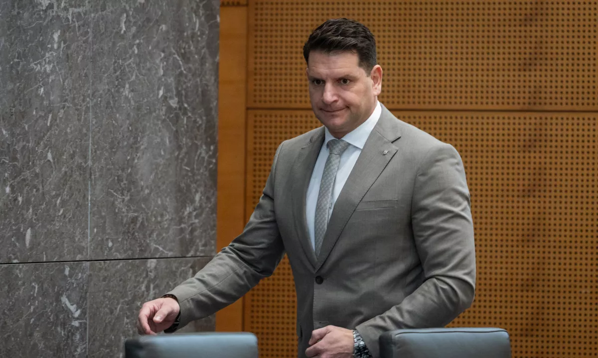 Tretja košarica Stevanoviću: Matjašič kandidirala za parlament, ne za "hišo Butalcev"