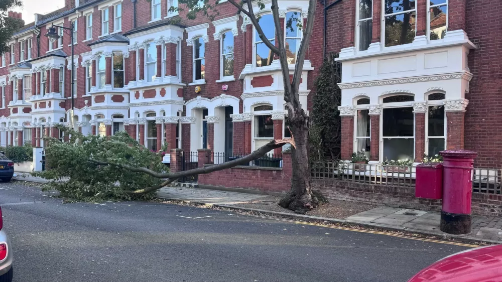 *EXCLUSIVE* London, UNITED KINGDOM A tree has fallen in Islington, North London, as Storm Boelo batters the UK, bringing strong winds and widespread weather warnings across the country BACKGRID UK 25 OCTOBER 2026,Image: 1146506147, License: Rights-managed, Restrictions:, Model Release: no, Pictured: GV, General View 