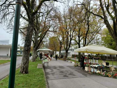 Foto: Vesna Levičnik