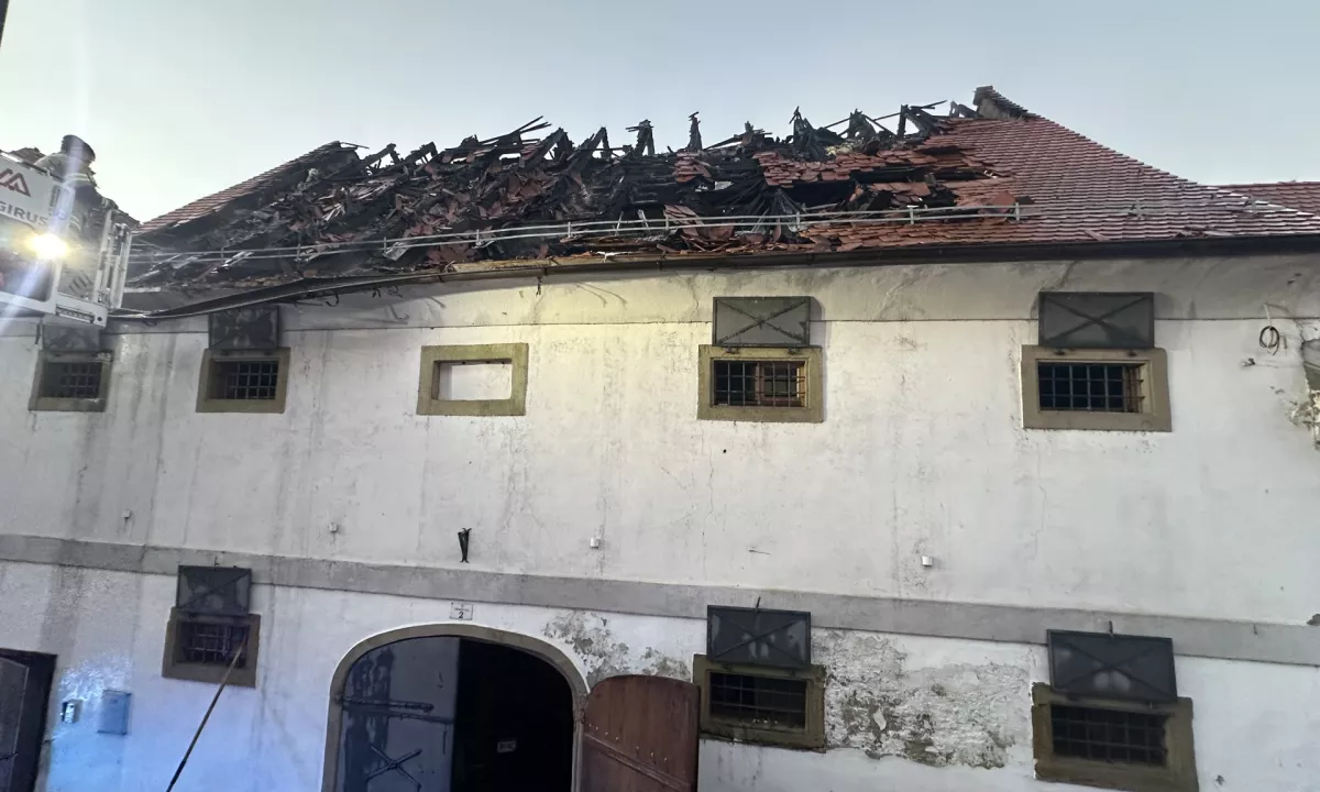 Požar na Ptuju zahteva pol milijona evrov škode, moški še vedno življenjsko ogrožen