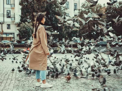 Ptice v mestnih parkih se na približevanje ljudi ne odzivajo vedno enako. / Foto: iStock