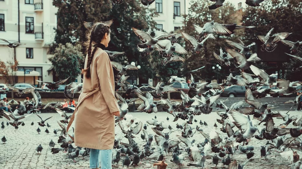 Ptice v mestnih parkih se na približevanje ljudi ne odzivajo vedno enako. / Foto: iStock