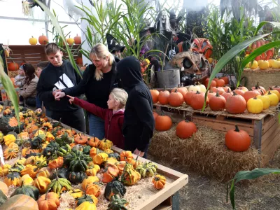 27.10.2026 - Dežela buč, PirničeFoto: Tomaž Skale