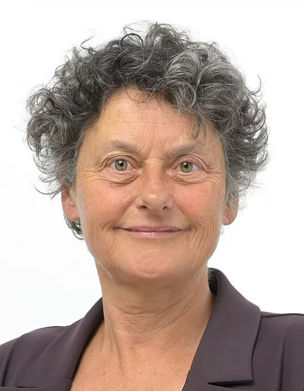 Tineke Strik, evropska poslanka Zelenih