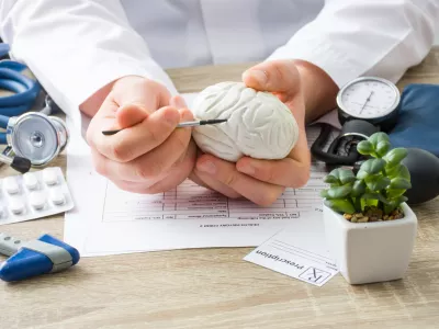 At doctors appointment physician shows to patient shape of brain with focus on hand with organ. Scene explaining patient causes and localization of diseases of brain, nerves and nervous system