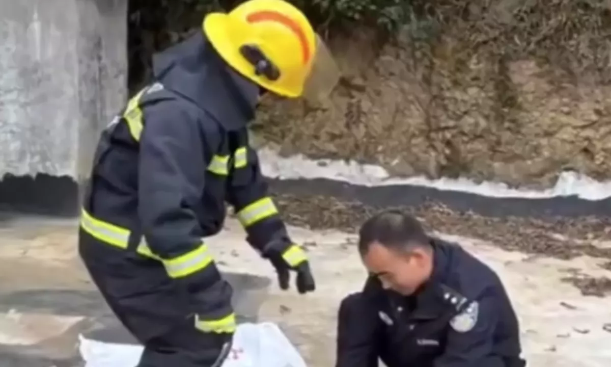 Kraljevska kobra pred okni in druge živalske grozljivke