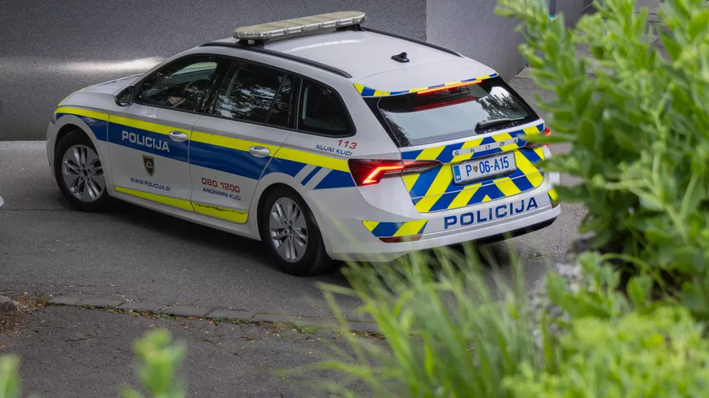 Policisti so se hitro odzvali. Na srečo huj&scaron;ih po&scaron;kodb ni bilo. Slika je simbolična.