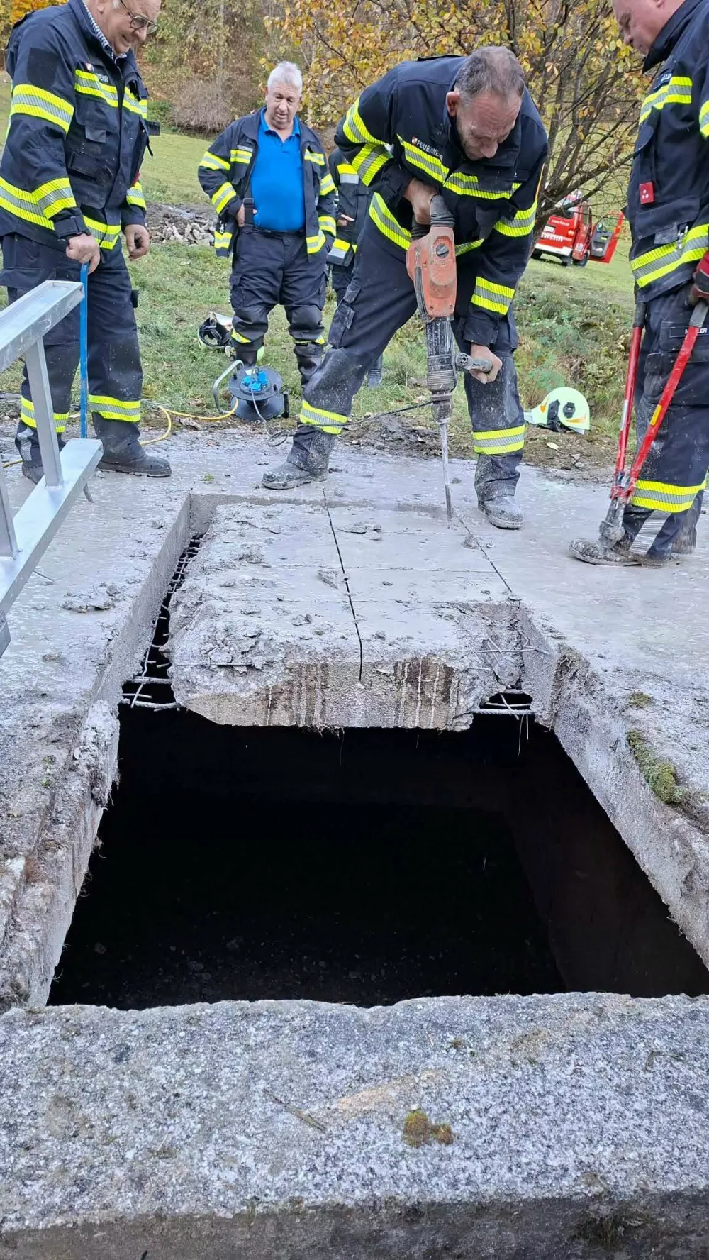 Re&scaron;evanje krave