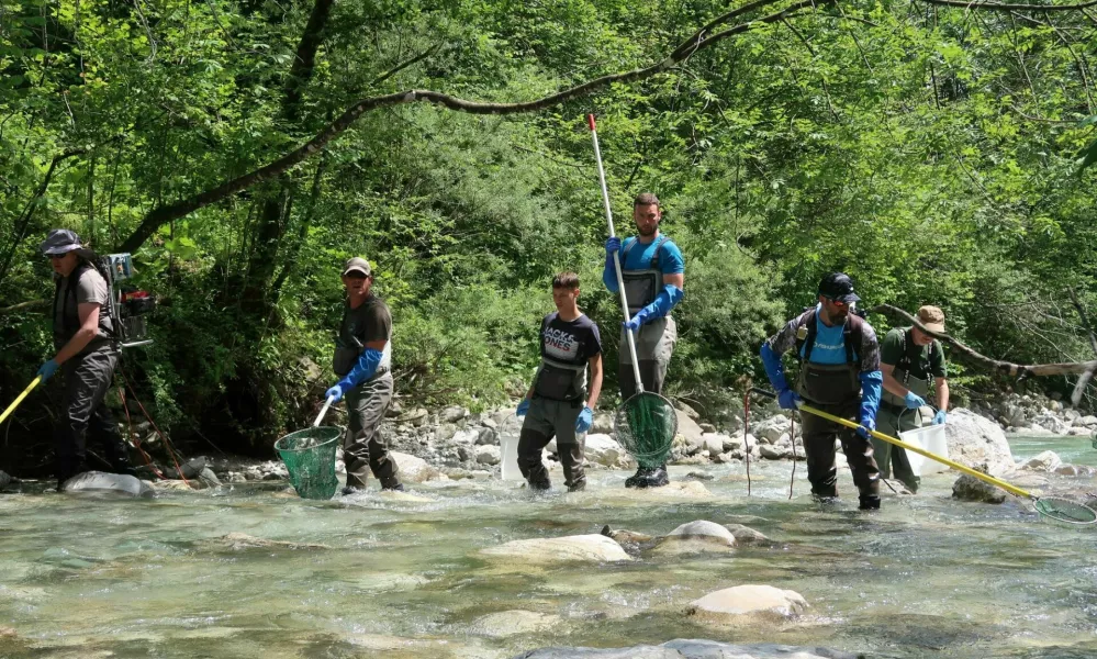Zavod za ribi&scaron;tvo Slovenije, monitoring rib v reki Nadiži / Foto: Nata&scaron;a Bucik Ozebek