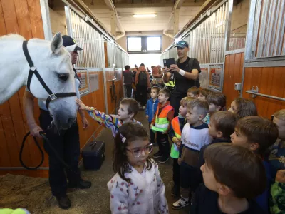 Postajo konjeni&scaron;ke policije Ljubljana je ob 50-letnici njene ustanovitve na dnevu odprtih vrat obiskalo veliko navdu&scaron;enih skupin otrok. Foto: Luka Cjuha